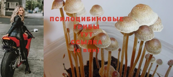 марки lsd Абинск
