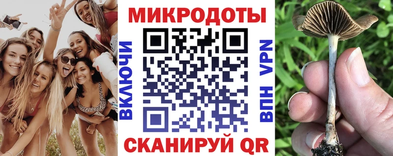 цены наркотик  Зеленодольск  Галлюциногенные грибы Cubensis 